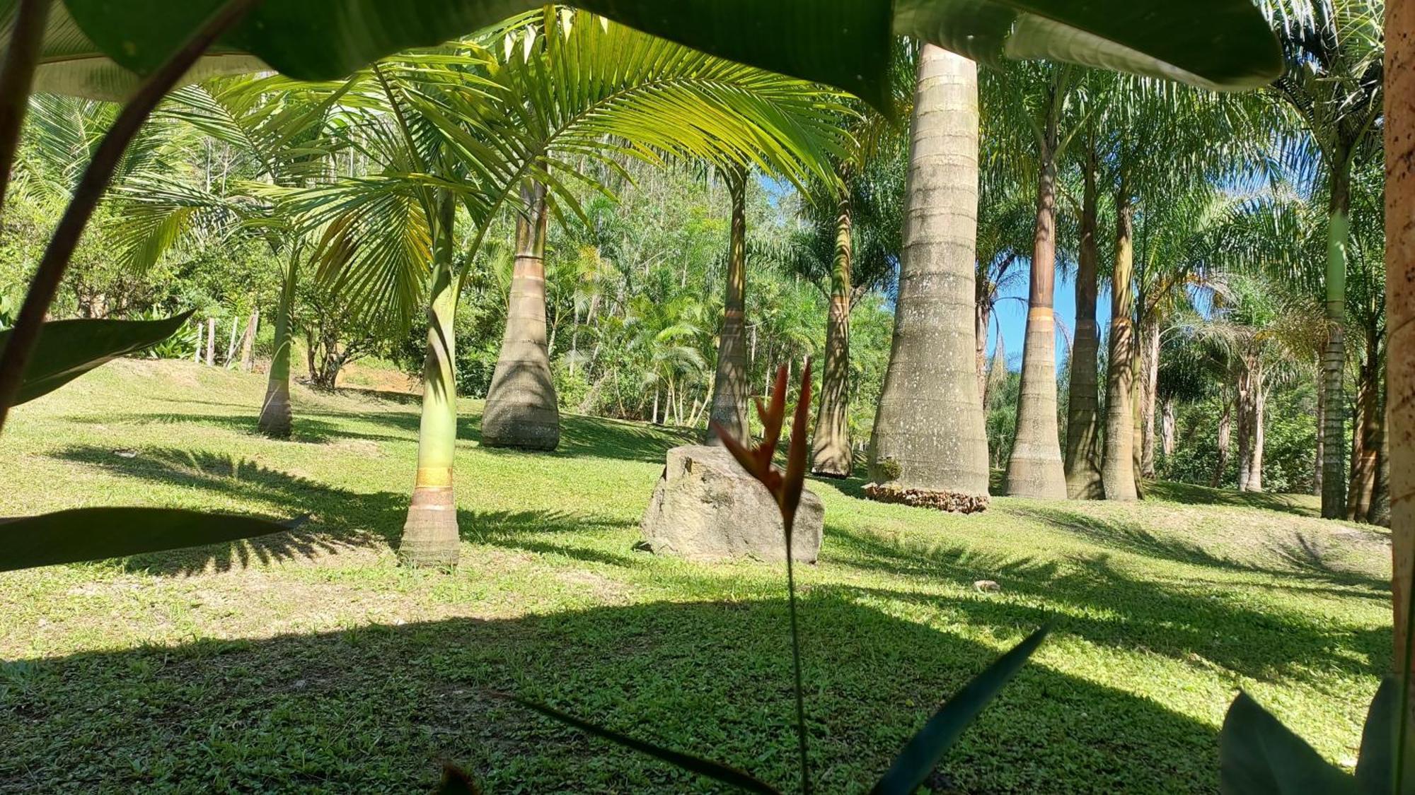 Alojamento de Turismo Rural Fazenda Vale *