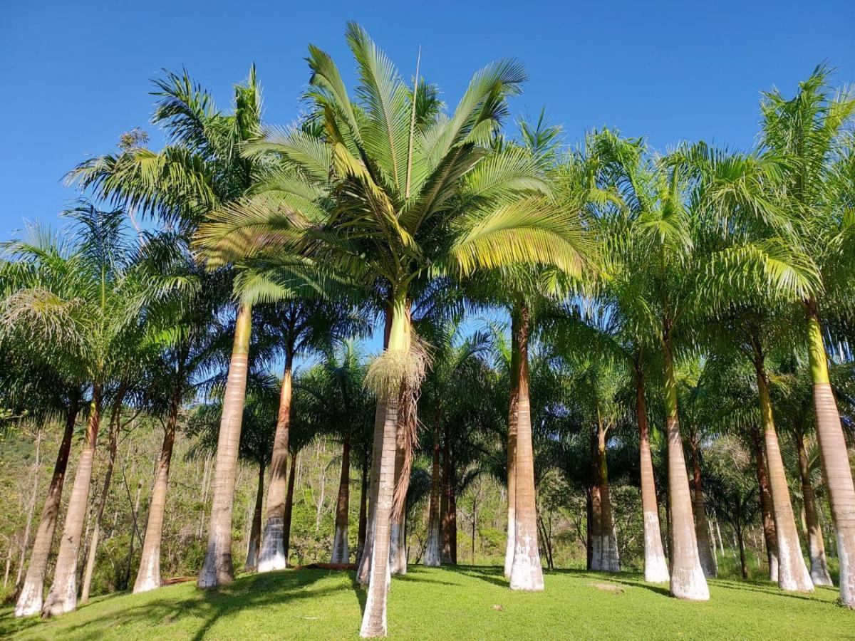 Fazenda Vale * Sete Barras