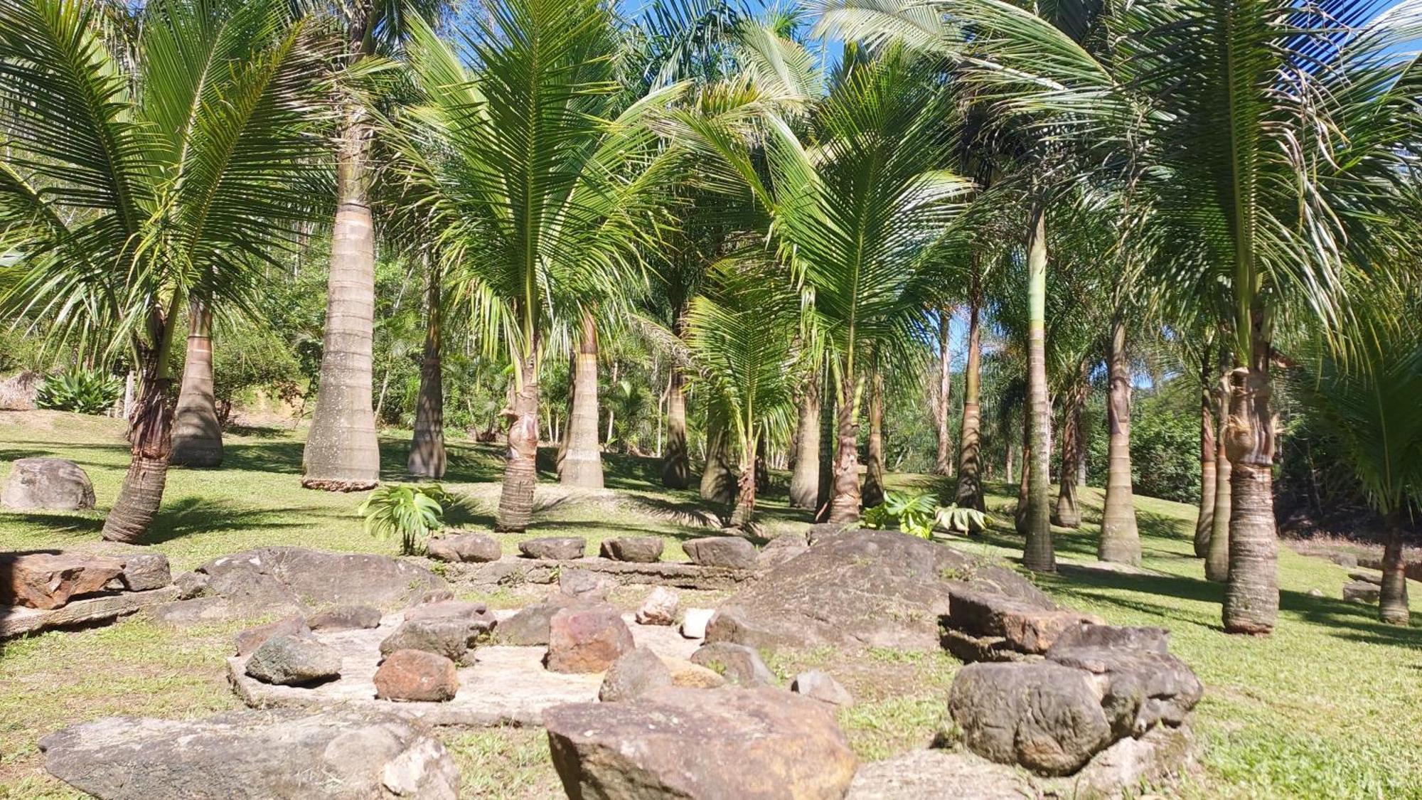 Fazenda Vale Sete Barras