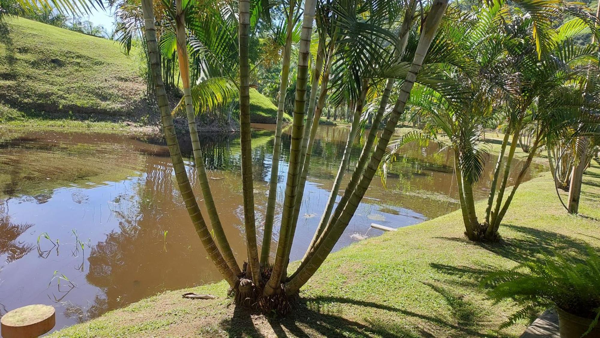 Fazenda Vale *
